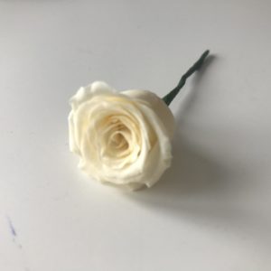 Premium preserved rose hair pins