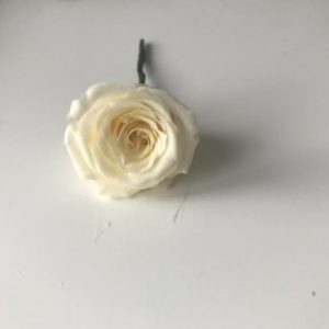 Premium preserved rose hair pins