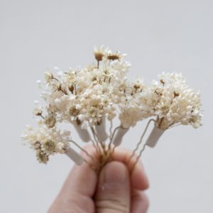 Horquilla de flores preservadas tono marfil