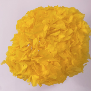 Pendientes de flores Amarillo Calido