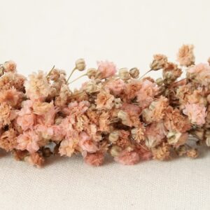 Corona de Paniculata preservada rosa